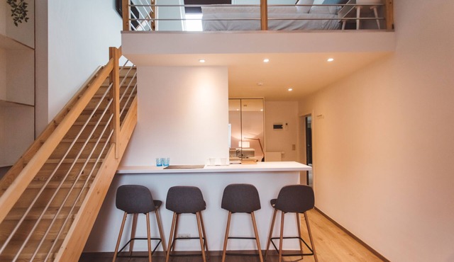 305. Charming renovated luxury studio. 305. Apparthôtel Centre ville
