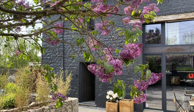A village house combining design and vintage