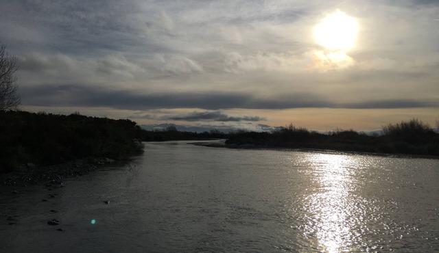 Accomodation on lifestyle block close to the Rakaia River