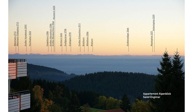 ALPINE VIEW: Vacation in the mountain forest - with a large indoor pool & unforgettable panorama