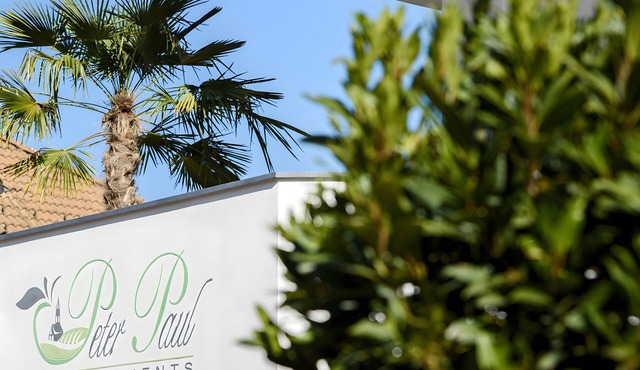 Apartment 'Peter Paul Terrasseapp Burgenblick' with Mountain View and Terrace