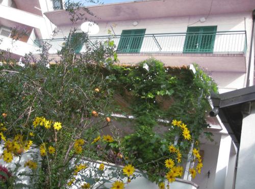 Apartman Sulić