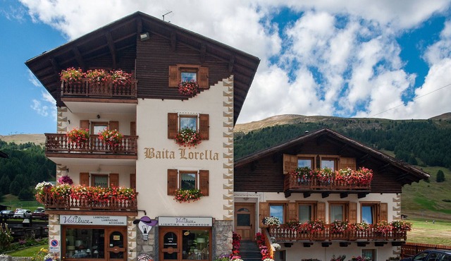 Apartment 'Baita Lorella La Tea' with Mountain View, Shared Terrace and Wi-Fi