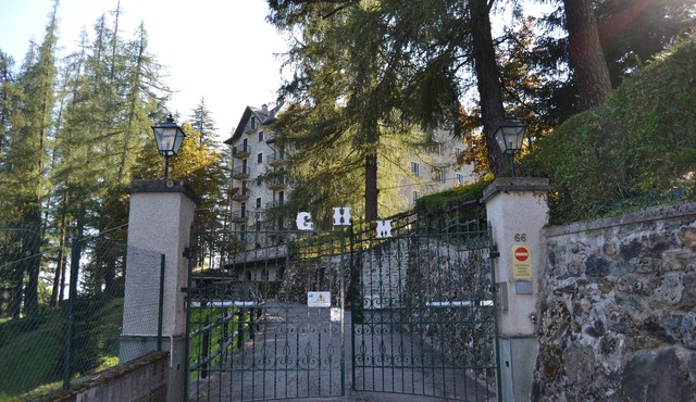 Apartment surrounded by greenery next to the pine forest - relaxation and comfort