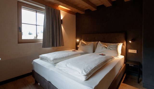 Apartment 'Snow Villa Genf' with Mountain View, Shared Spa Area and Garden