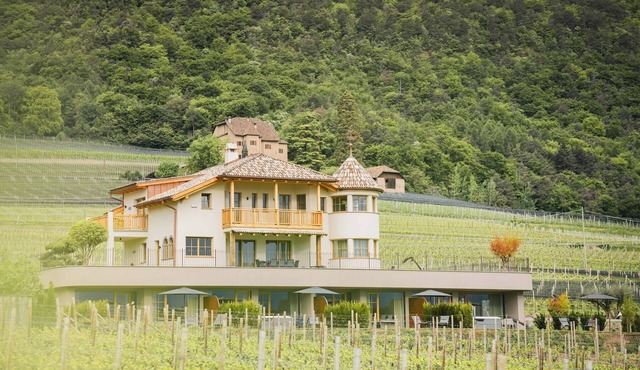 Apartment 'Valentinerhof Apt Fire' with Mountain View, Shared Pool and Wi-Fi