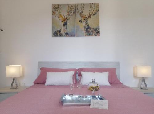 B&B IL TULIPANO free private parking