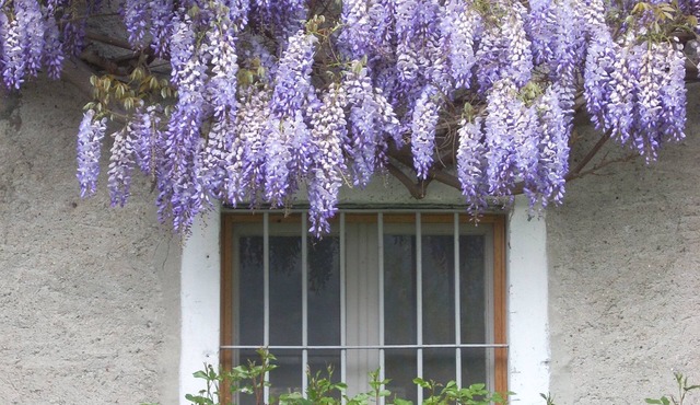 B&B L'Isola
