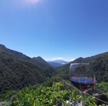 B&B La Locanda del Cinghiale