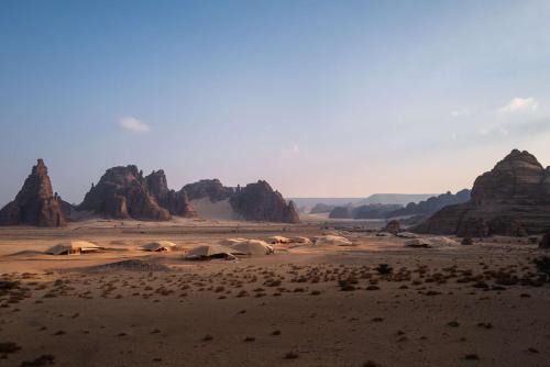 Banyan Tree AlUla