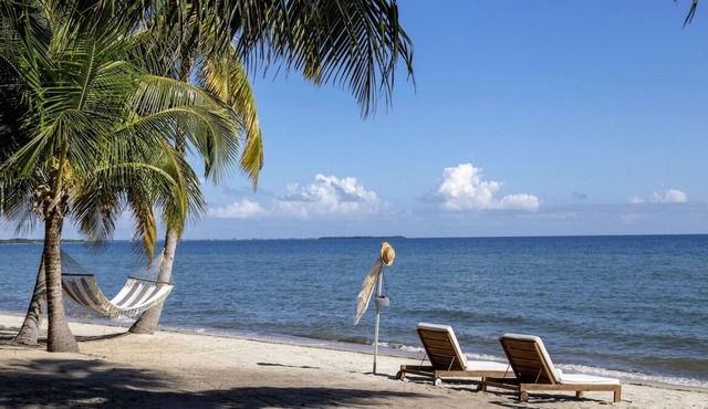 Beachfront Hideaway! Pool, Beachfront, Free Airport Shuttle, Parking