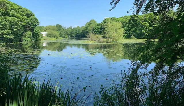 Beautiful stay next to lakes and river