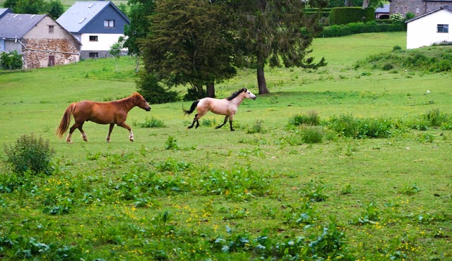 Beautifully renovated farmhouse of 1872. Cost for energy consumption post-stay