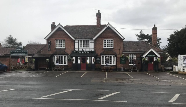 Black bull
