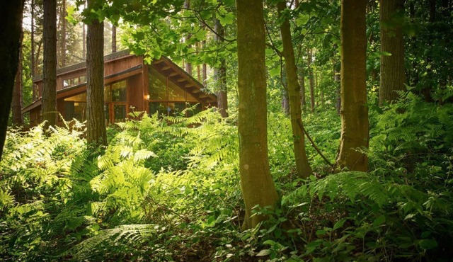 Blackwood Forest Golden Oak Hideaway, Winchester