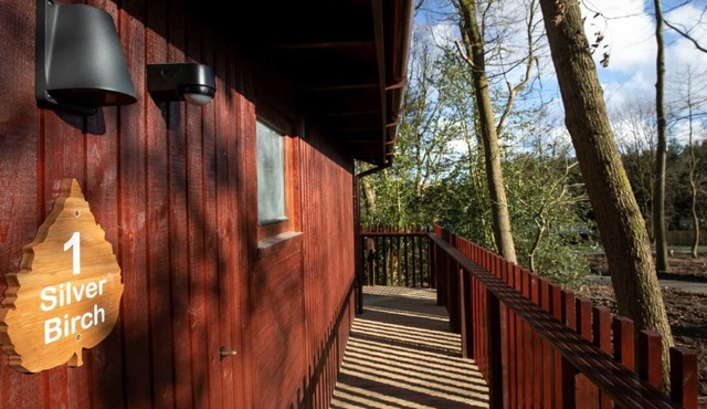 Blackwood Forest Silver Birch Cabin, Winchester