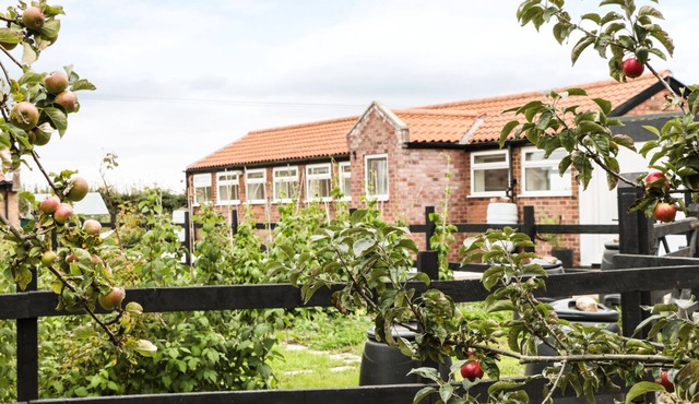 BOWLER YARD COTTAGE, pet friendly, with a garden in Warsop
