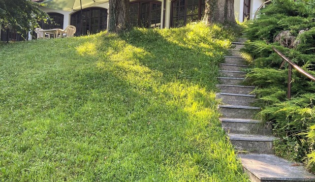 Bright open space in a cozy green park