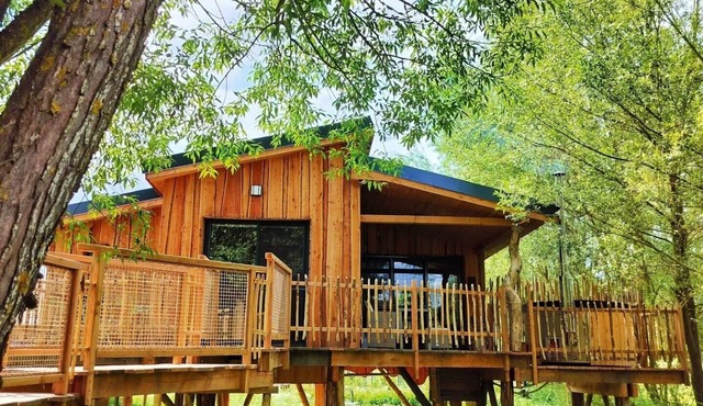 Cabin in the heart of the Ardennes! Nature, Nordic bath and Finnish sauna.