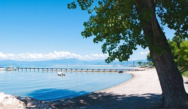Camping le Palme - Campground