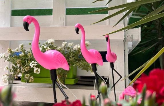 Casa Flamingo