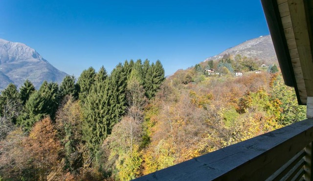 Casa Stella Alpina