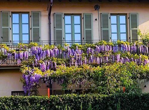 Cascina storica con giardino - vicino a Stazione Centrale
