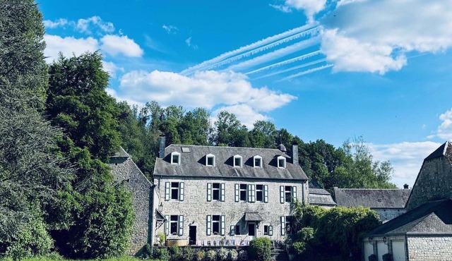 Castle in Ferrières with Pond Garden