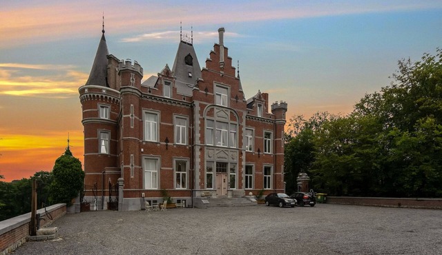 Castle with wellness and zipline