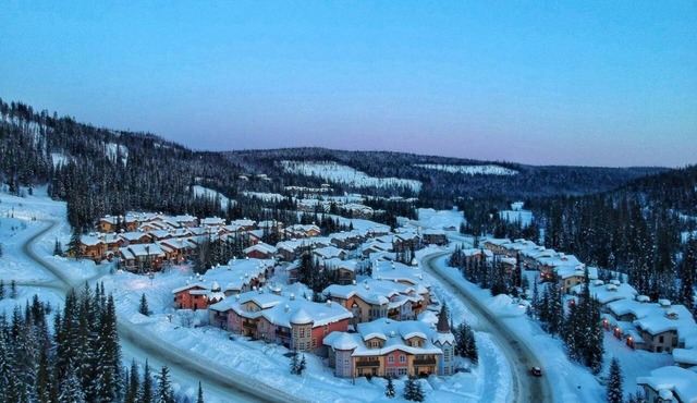Centrally located 3 level, 3 bedroom pet friendly townhome with private hot tub