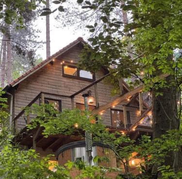 Chalet dans les bois avec bain nordique et cinéma