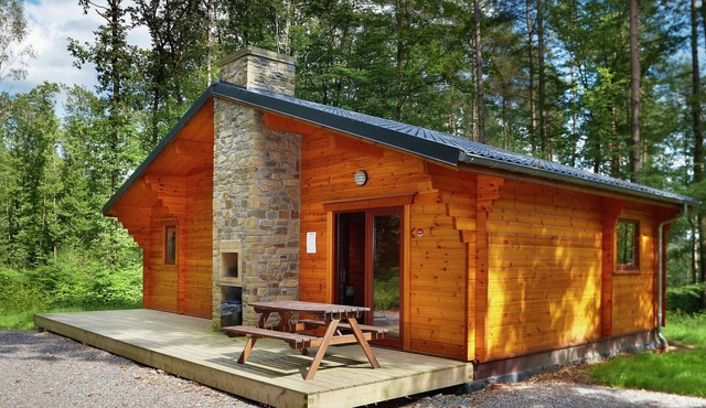 Chalet in Belgium with Cozy Wood Interior