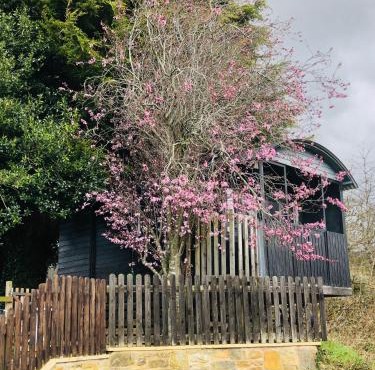 Cherry Tree Gypsy Wagon Sibford Gower