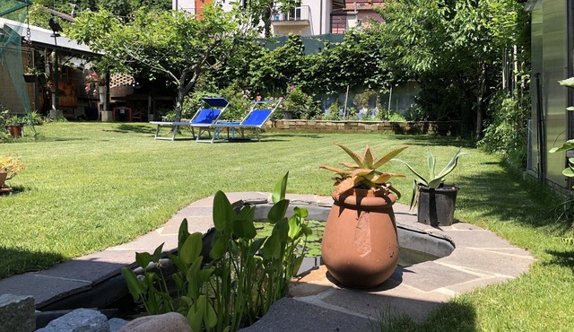 CLUA Holiday House