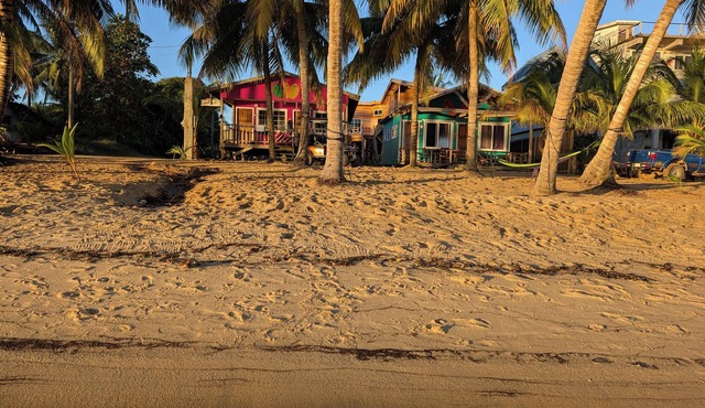 CobiaBeach.com