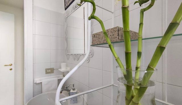 Comfortable and quiet apartment 15 minutes from train station