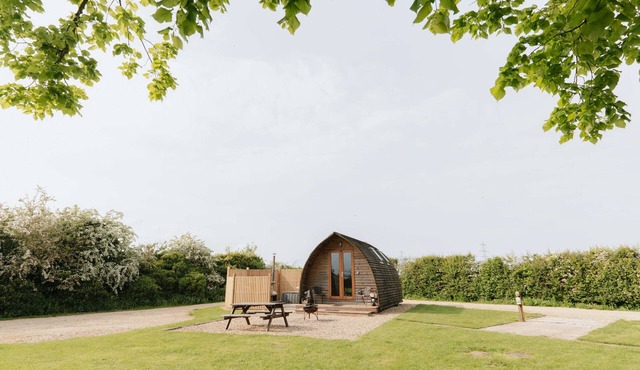 Cosy Glamping Cabin With Wood Fired Hot Tub