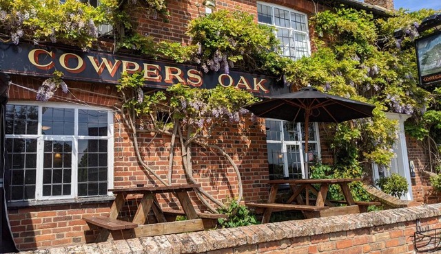Cowpers Oak