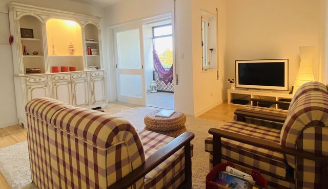 Cozy apartment in Douro