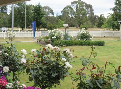 Culverden Court Motel