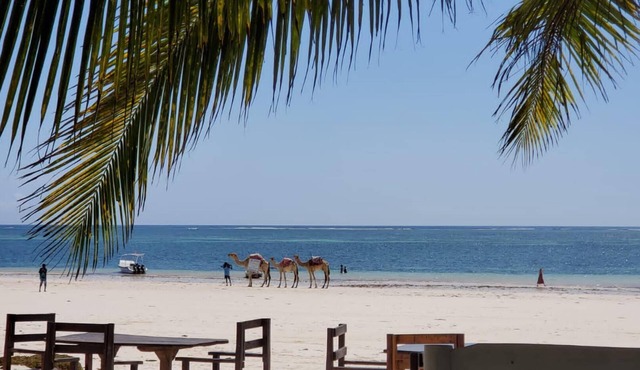 Diani Dream House - 4 Bedroom