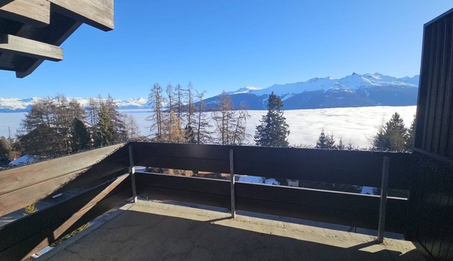 Discover this superb 3.5-room premium apartment, completely renovated with quality materials, combin