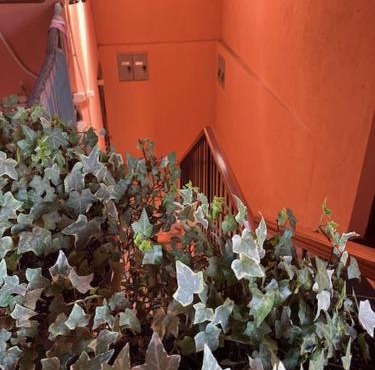 Dolce Vita