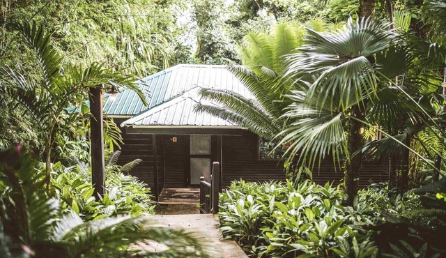 Double Queen Suite, a relaxation in the heart of the jungle