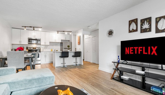 DT 2 Bedroom/ king Bed River Valley Suite W/ prk Wifi Ntfl