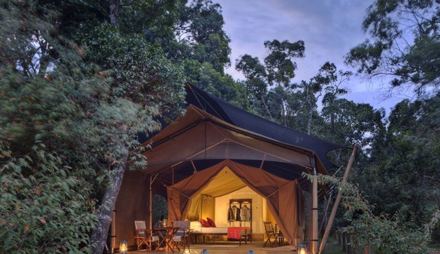 Elewana Elephant Pepper Camp
