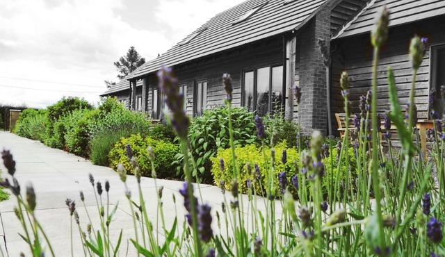 Elm Tree Farm Accommodation