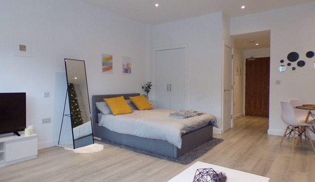 Entire Stylish Modern Studio Apartment - 2min walk to Underground near Wembley