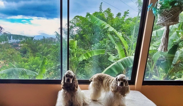 Escazu Studio