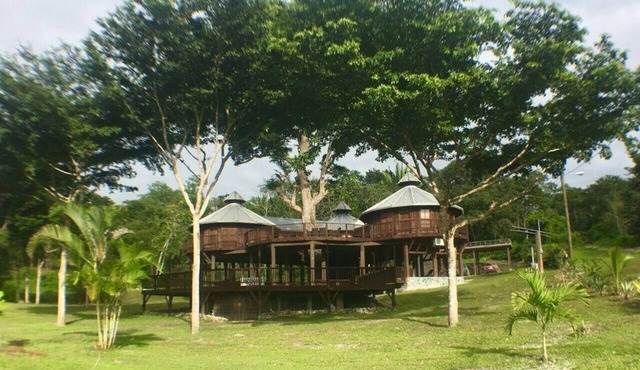 Exotic High End Unique Off-The-Grid Treehouse, steps away from the Mopan River!